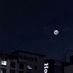 菠萝蜜一区二区三区
